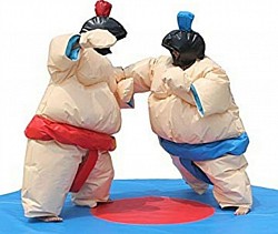 SUMO SUITS WITH GEAR AND MAT 240.00 PER DAY